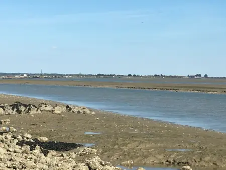 Maison rénovée près de la plage avec jardin clos et parking - Photo 18