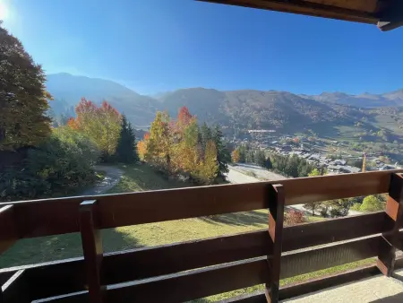 Duplex 4 pièces à 20m des pistes, animaux admis, Crève Coeur - Photo 12