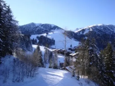 Duplex 4 pièces à 20m des pistes, animaux admis, Crève Coeur - Photo 14