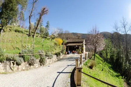Le Piane, Charmante retraite à Lucques - Photo 14