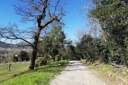 Le Piane, Charmante retraite à Lucques - Photo 20
