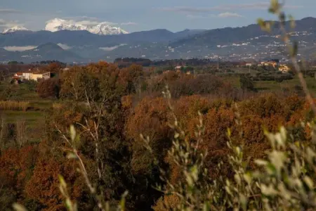 Le Piane, Charmante retraite à Lucques - Photo 22