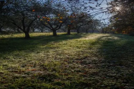 Le Piane, Charmante retraite à Lucques - Photo 28