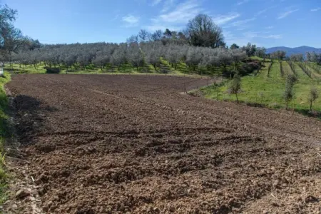 Le Piane, Charmante retraite à Lucques - Photo 29