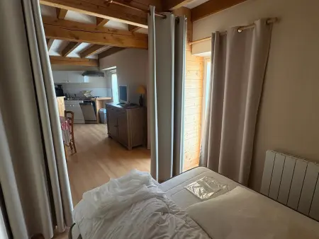 Charmant apt avec WIFI à 70m des Thermes - Animaux admis - Photo 11