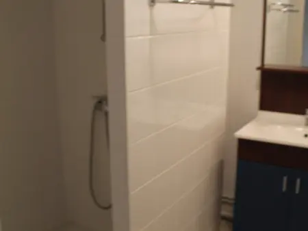 Bel appartement à 170m des thermes - 5 pers., Appartement 4 personnes à La Roche Posay - Photo 21