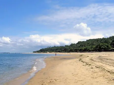 T3 neuf à Arcachon : terrasse, parking et wifi, Appartement 4 personnes à Arcachon - Photo 16