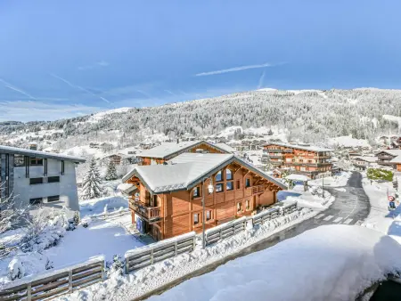 Confort aux Gets: T2 avec balcons, ski et parking - Photo 12