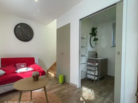 Maison rénovée en pierre, animaux acceptés, proche Bagnoles-de-l'Orne - Photo 6