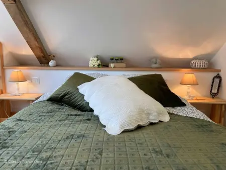 Maison rénovée en pierre, animaux acceptés, proche Bagnoles-de-l'Orne - Photo 10