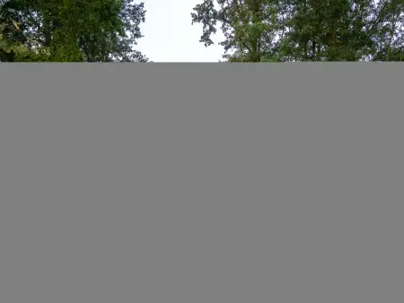 The Lodge by YourNature, Retraite en forêt pour deux - Photo 15