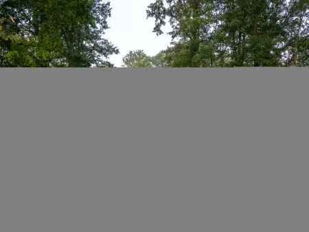 The Lodge by YourNature, Escapade avec vue sur la forêt pour deux - Photo 14