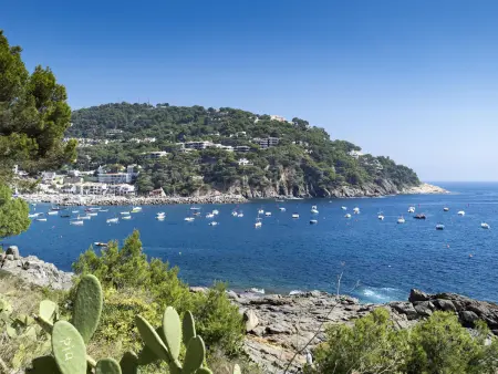 Appartement avec piscine à 500m de la plage - Llafranc, Costa Brava - Photo 15