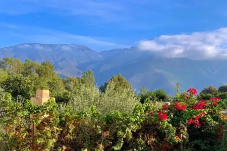 El Ensueno, Maison à Orgiva avec vue sur montagne - Photo 34