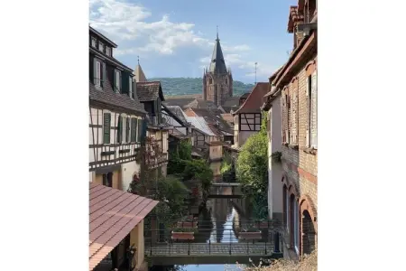 345703, Villa 1907 Wissembourg - Photo 29