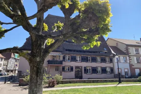 345703, Villa 1907 Wissembourg - Photo 31