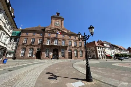 345703, Villa 1907 Wissembourg - Photo 32