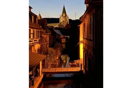 345703, Villa 1907 Wissembourg - Photo 34