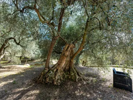 Gravel's House, Maison 4 personnes à Diano Marina - Photo 24