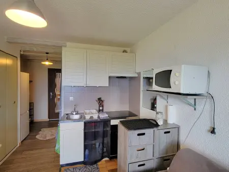Studio cosy 2 pers au pied des pistes, Appartement 2 personnes à Saint Michel de Chaillol - Photo 8