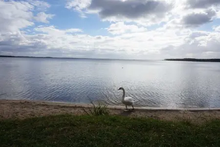 205281, Villa Mimosa Résidence de vacances tout confort - Photo 21