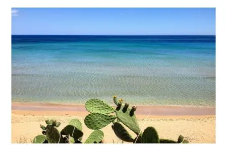 103884, Fronte Résidence de vacances tout confort - Photo 9