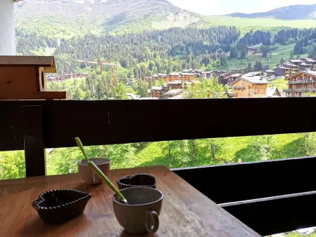 Charmant appart rénové, à 3 min des pistes et commerces, 4 pers, animaux admis - Photo 21