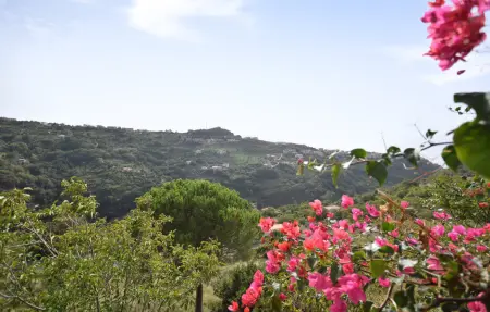 Maison 5 personnes à Cetraro - Photo 9