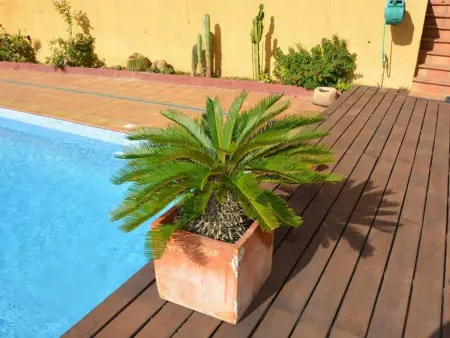Villa spacieuse calme à Sitges avec piscine et animaux admis - Photo 14