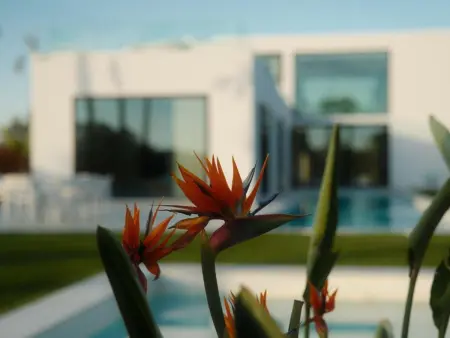 Villa design près de Sitges avec piscine privée et WiFi - Photo 19