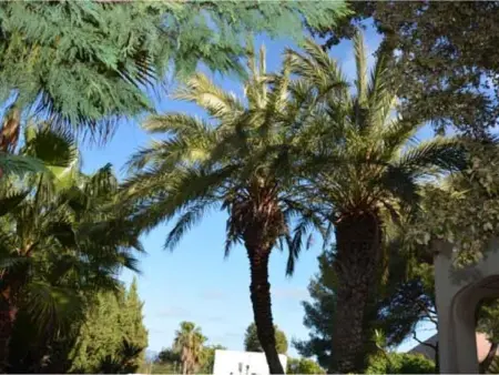 Villa 12 pers, piscine privée, proche plage, Sitges - Photo 5