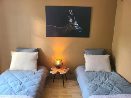 Appartement confortable 4 pers à Épinal avec parking privatif - Photo 13