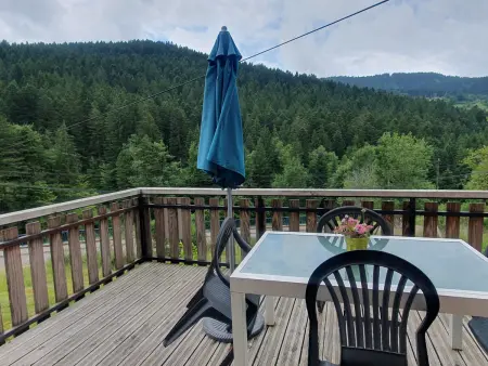 Chalet familial Vosges avec baby-foot et animaux admis - Photo 1