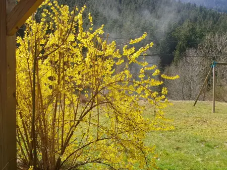 Chalet familial Vosges avec baby-foot et animaux admis - Photo 22
