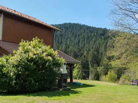 Chalet familial Vosges avec baby-foot et animaux admis - Photo 27