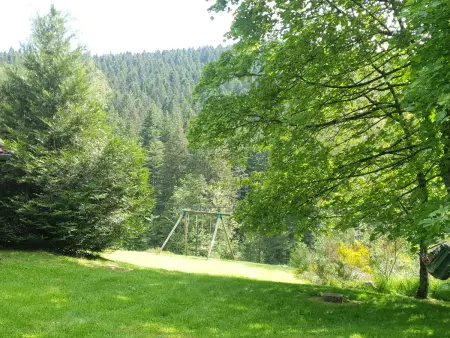 Chalet familial Vosges avec baby-foot et animaux admis - Photo 28