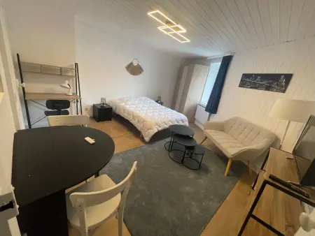 Appartement cosy au centre d'Épinal, proche attractions - Photo 5