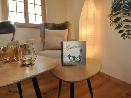 Tüllerhus Studio, Appartement 2 personnes à Gstaad - Photo 21