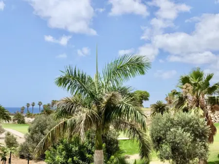 Maison de Luxe avec Piscine Privée, Jacuzzi et Golf - Photo 24