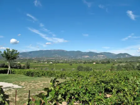 Les Lilas Blancs, Maison 6 personnes à Valreas - Photo 11