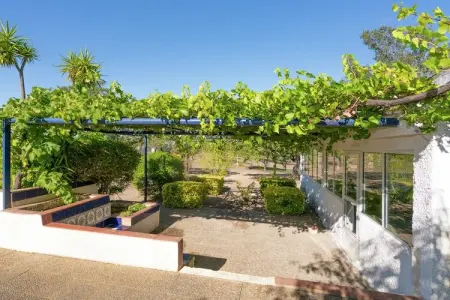 Malvazul, Maison de vacances à Tajo avec piscine et terrasse - Photo 33