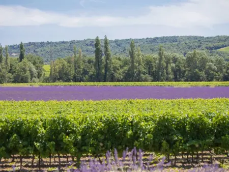 La Machotte, Maison 15 personnes à Visan - Photo 27