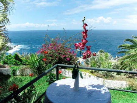 El Caletón, Maison 4 personnes à La Matanza de Acentejo - Photo 2