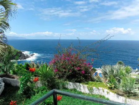 El Caletón, Maison 4 personnes à La Matanza de Acentejo - Photo 14