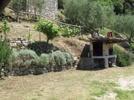 Olivella, Maison 4 personnes à Camaiore - Photo 23