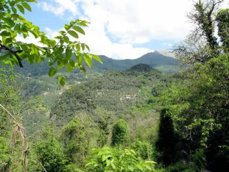 Olivella, Maison 4 personnes à Camaiore - Photo 25