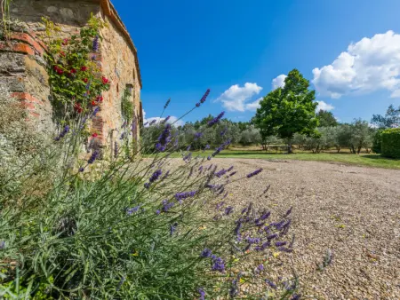 Il Laghetto, Maison 8 personnes à Pergine Valdarno - Photo 87
