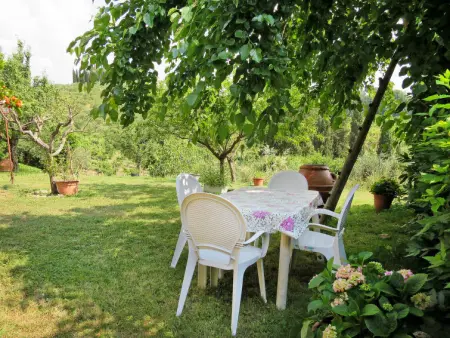 Podere Conte Francesco-La Palma, Maison 6 personnes à Certaldo - Photo 3