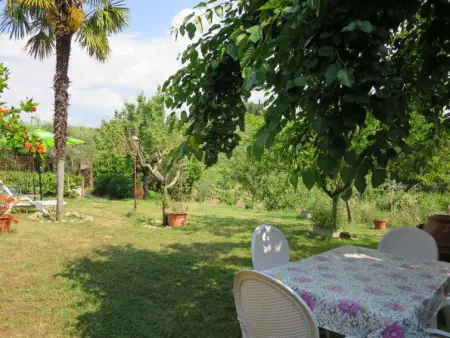 Podere Conte Francesco-La Palma, Maison 6 personnes à Certaldo - Photo 24