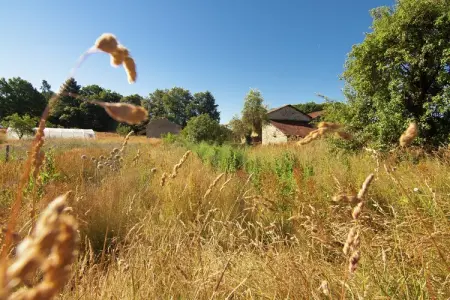 La Marguerite, Maison à Romefort près du Lac de Vassivière - Photo 31